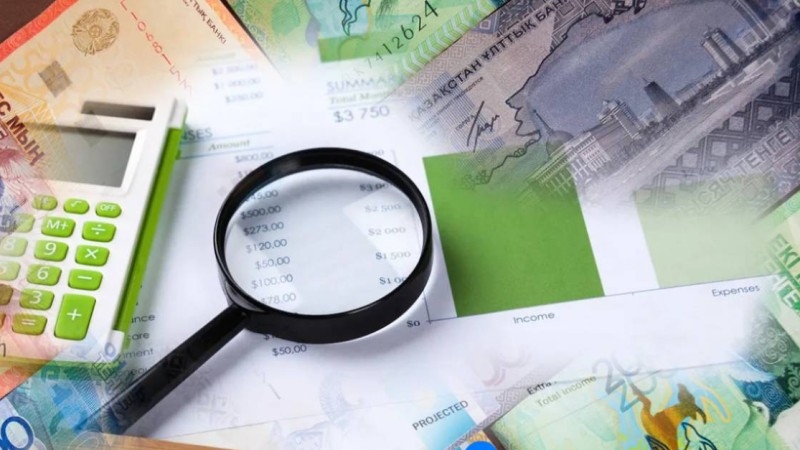 Жеке тұлғалардың кірістерін декларациялаудан босату ұсынысы қолдау тапты