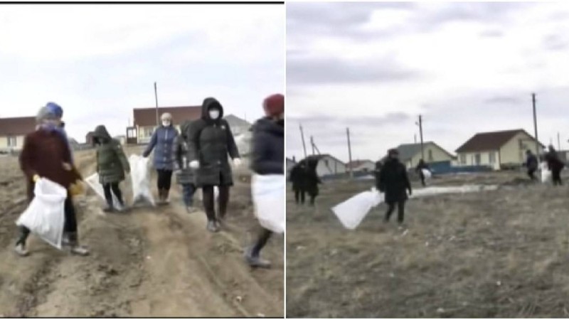 Ақмола облысында карантин кезінде мұғалімдерді мәжбүрлеп қоқыс тазалауға шығарған - Қазақстан жаңалықтары