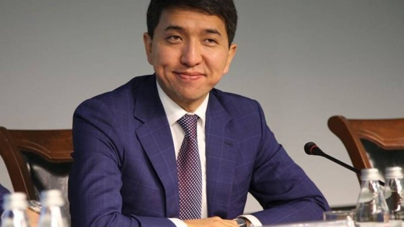 Вице-министр Төлеушиннің Бишімбаевпен байланысы бар ма?