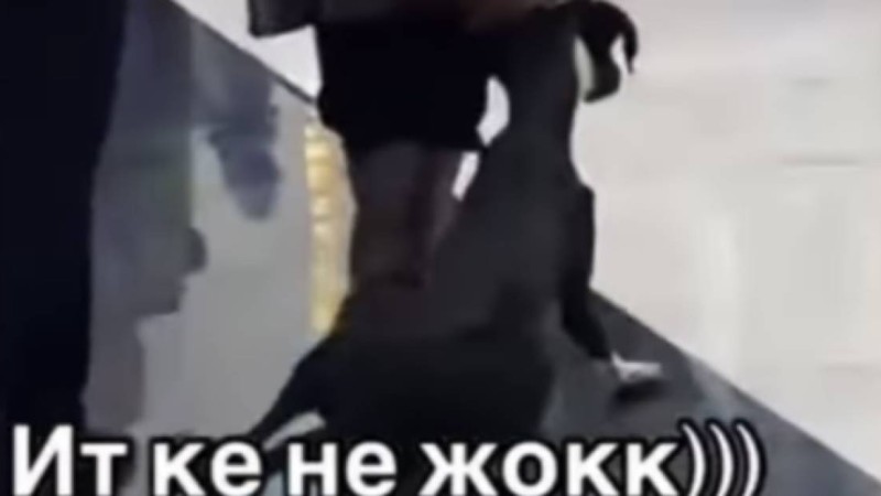 «Мал кім бұл жерде?». Ресторанда ат жетектеп, итті сүйрей шыққан қазақтар сынға қалды