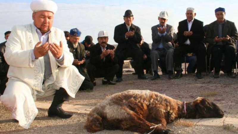 Құрбан айтта не істеу керек: Имам құрбандық шалудың ережесін түсіндірді