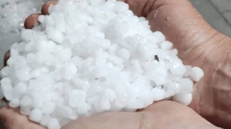 Шымкент тұрғындары қалада жауған ірі бұршақтың видеоларымен бөлісті