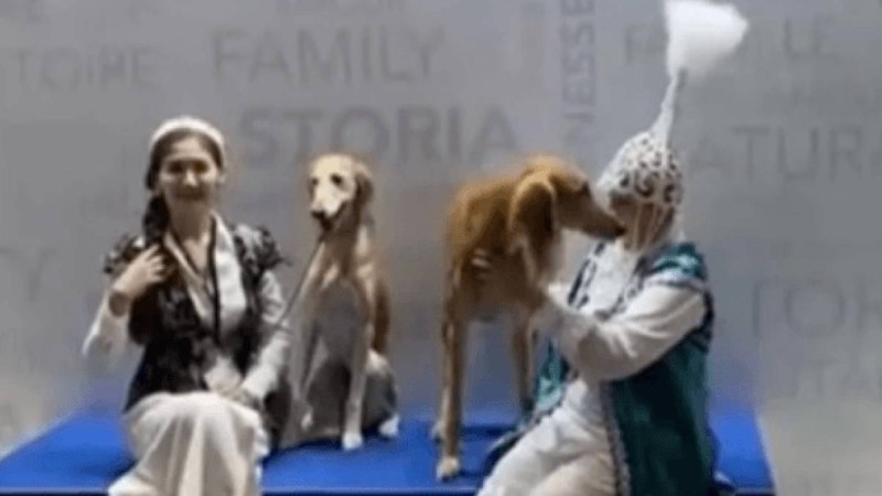 Қазақтың тазылары Женевадағы әлем чемпионатында жеңімпаз атанды