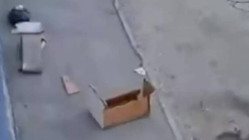 Үстіне алтыншы қабаттан диван түсіп кеткен ер адам сегіз айдан кейін қайтыс болды