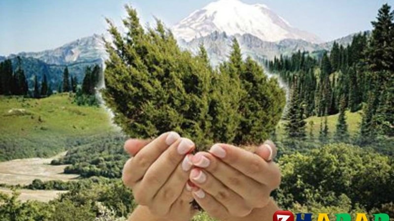 Географиядан сабақ жоспары: Табиғатты пайдалану түрлері №1 (10 сынып, I тоқсан) » ZHARAR