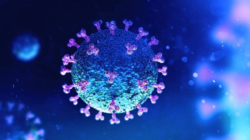 Коронавирустың кей адамдарға еш әсері жоқ - ғалымдар