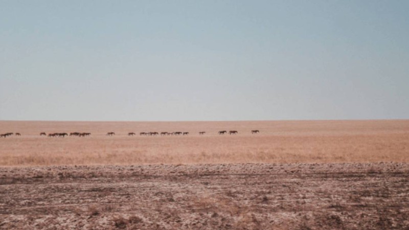 Жамбыл облысының 6 ауданында төтенше жағдай режимі жарияланды