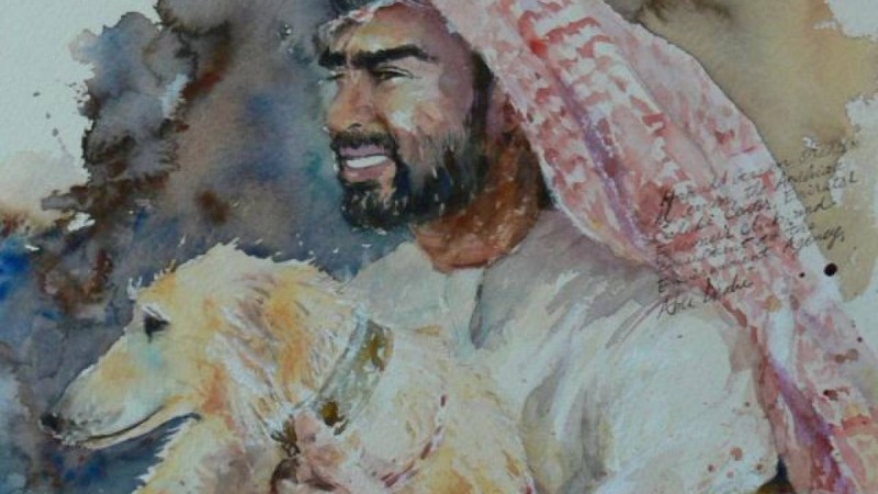 Арабтар коронавирусты анықтау үшін иттерді қолдана бастады