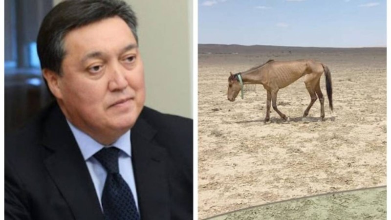 «Қолынан ештеңе келмейтін қауқарсыз үкіметті ұстауға еш негіз жоқ» - қоғам белсендісі