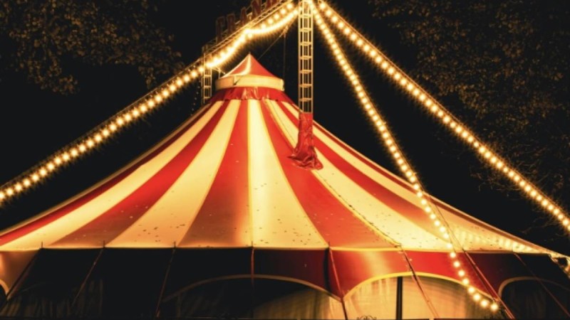 Енді Циркте жануарларды пайдалануға тыйым салынады