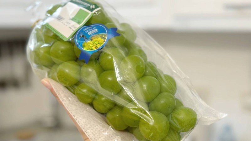 Шайын Мускат: блогерлердің жаңа тренді