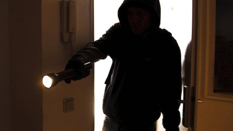 Алматы облысында шетел азаматы жалдамалы пәтерді тонап, еліне қашқан