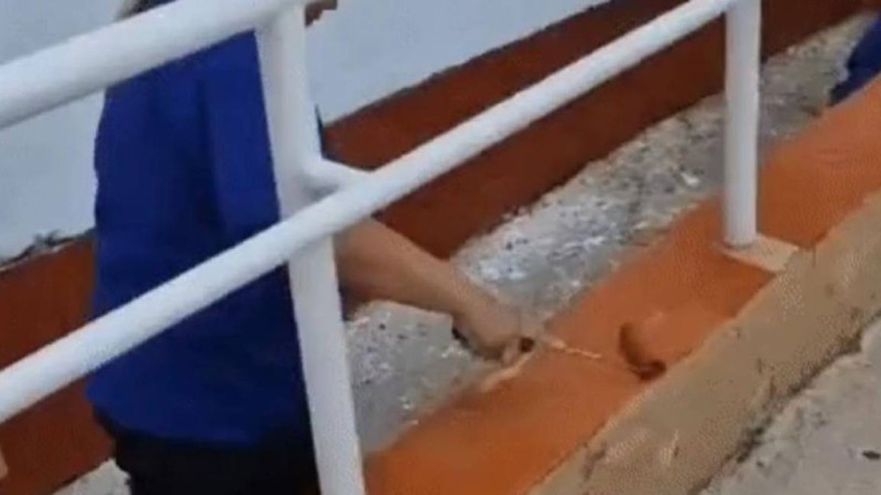 "Біз жөндеу жұмыстарын жүргізуге міндеттіміз бе?" - Алматы облысындағы мектеп тазалаушыларының бейнеүндеуі қызу талқылануда