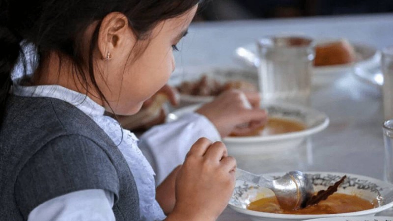 Қазақстанда 1 қыркүйектен бастап 1-4 сынып оқушылары тегін тамақпен қамтылады