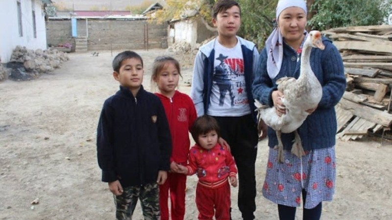 4 баласы бар әйел көпбалалы анаға жатпайды – Еңбек министрлігі