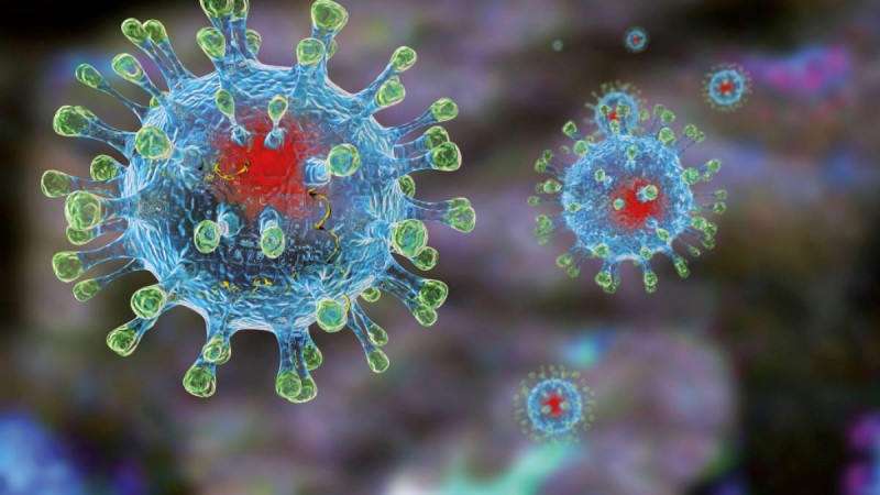 32 елдің ғалымдары ДДСҰ-ның коронавирус ұсыныстарын қайта қарауды талап етті