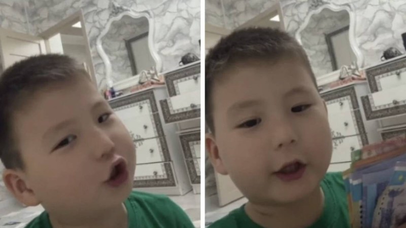 «Біз неге бай емеспіз»: Депозитке ақша жинап жүрген 5 жасар баланың әрекеті көпшілікті сүйсіндірді (ВИДЕО)