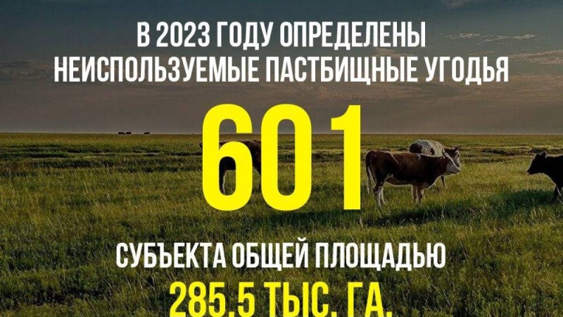 В 2023 году местными исполнительными органами города Конаев и районов определены неиспользуемые пастбищные угодья 601 субъекта общей площадью 285,5 тыс. га