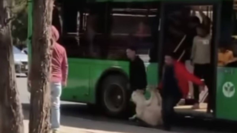 «Автобус малқора емес қой!». Атвобуспен мал тасыған бір топ адамдар желіні шулатты