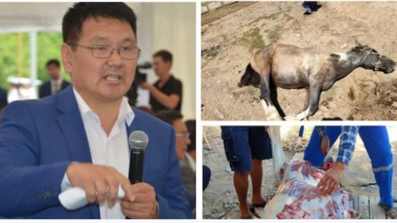 Маңғыстау жұрты індет тоқтасын деген ниетпен жылқыны құрбандыққа шалды