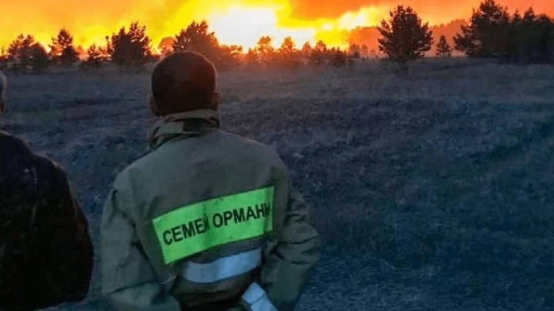 Жақында алапат өрт болған "Семей орманы" резерватының қызметкерлері жалақыларының өспегенін айтып президентке хат жолдады