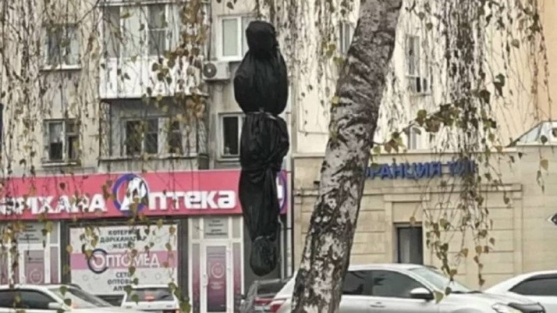 Пакетке оралып, ағашқа асылған адам бейнесіндегі зат елдің зәресін алды