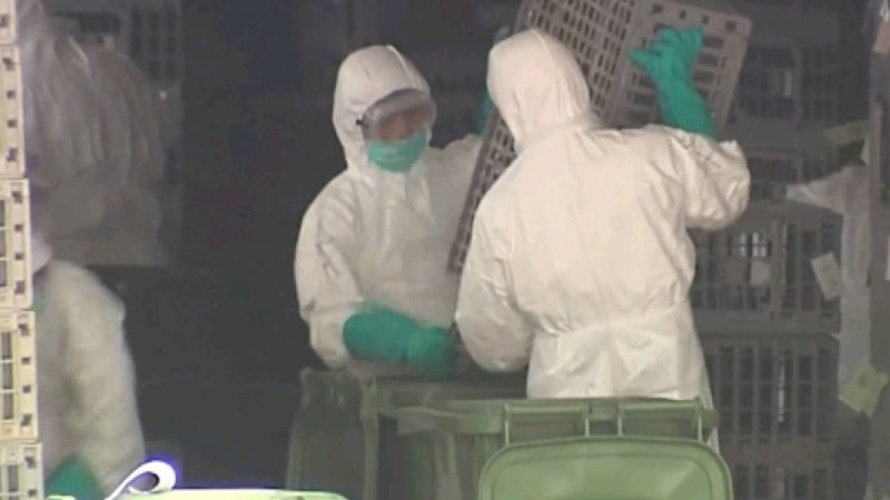 Алматылық дәрігер дельта штаммының негізгі симптомын айтты