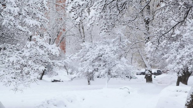 Жамбыл облысында қар жауды