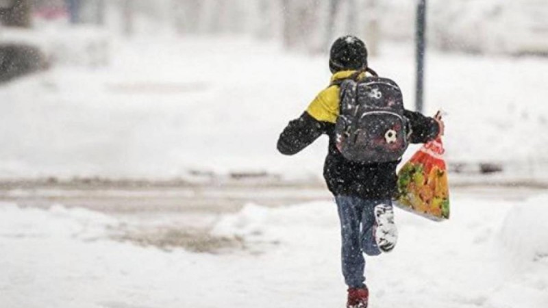 Оқушылар қысқы каникулда неше күн демалады?