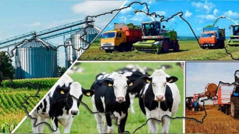 Қазақстан фермерлері Президентке алғыс білдірді