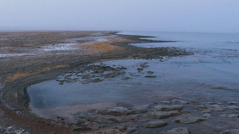 Арал теңізіне 200 млн текше метр су құйылды