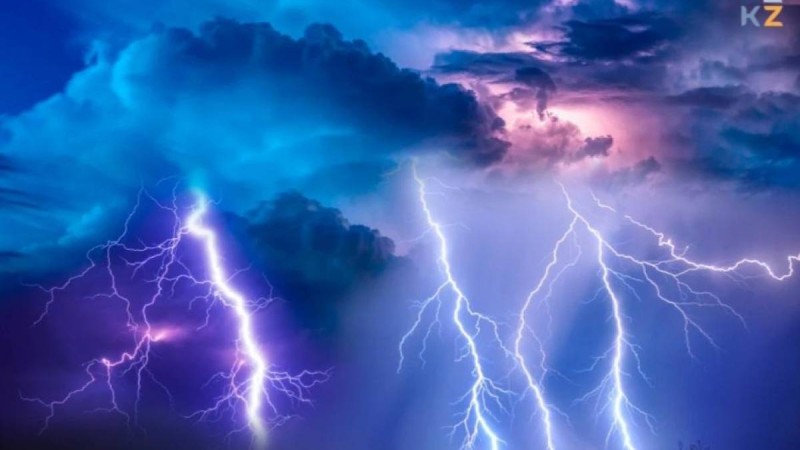 Жамбыл облысында найзағайдан бір үйір жылқы қырылып қалды