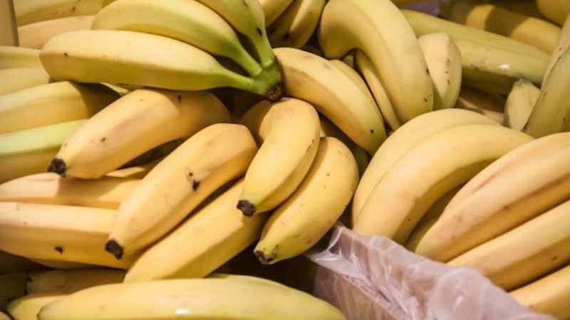 Бананда кездесетін жаңа вирустан 23 адам қайтыс болды – министрлік жауап берді