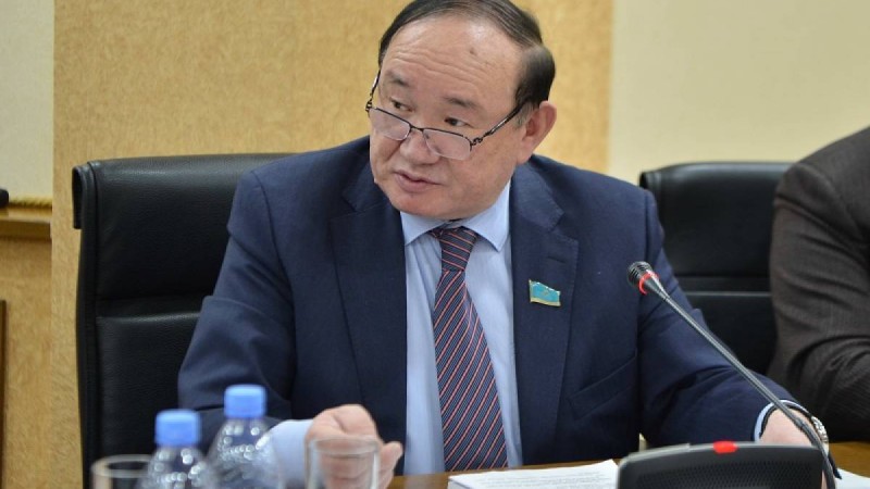 Халық мемлекетке масыл болып алды - Сенат депутаты Әли Бектаев