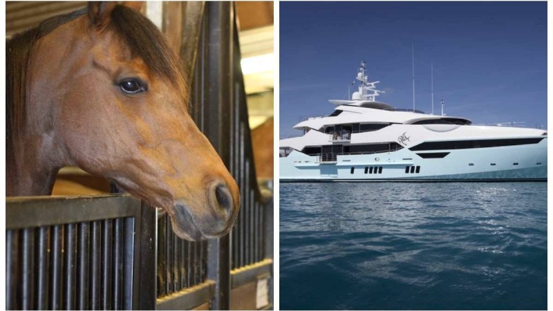 "Ат қорасы, моторлы қайық бар": Депутат ұлттық компаниялардың шығынын сынады