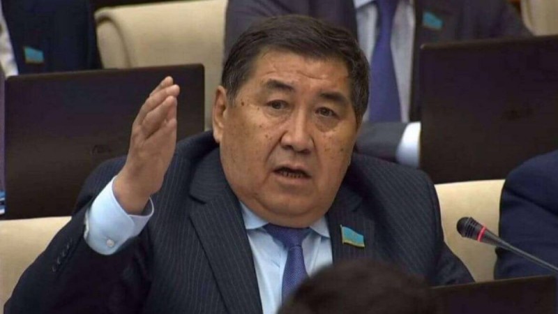 Назарбаевтар отбасының өкілдері алматылықтардың жерлерін басып алып жатыр - Ермұрат Бапи