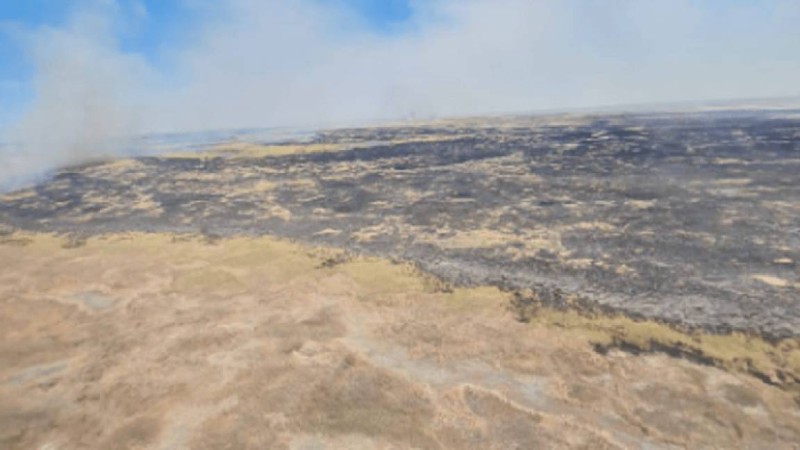 Балқаштағы өрт 6 мың гектарға дейін жетті - ТЖМ
