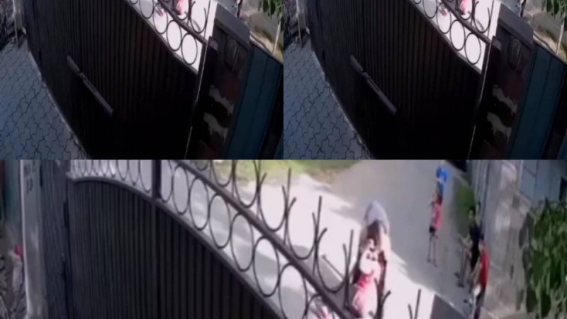 Желіде ер адамның егде жастағы әйелді аяусыз ұрып-соққан бейнежазбасы тарады