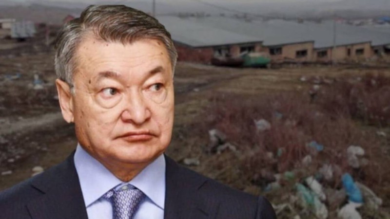 Өскеменді шошқа өндірісі мен нәжісі жайламақ