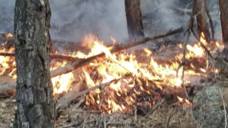 Құтқарушылар Павлодар облысы Баянауыл ауданында өртті сөндірді