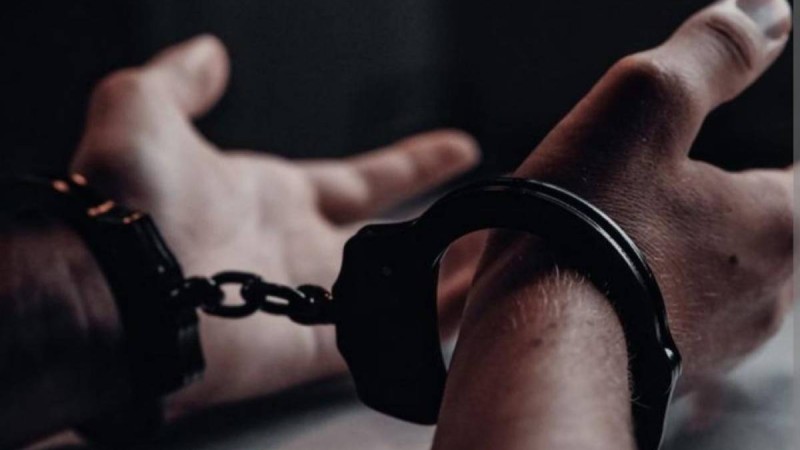 Грузияда қазақстандық журналисті өлтірген күдікті табылды - Грузия ІІМ