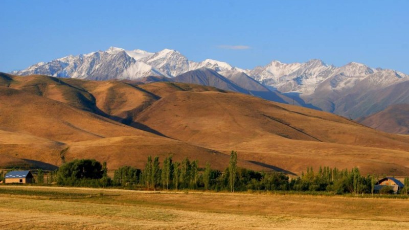 Меркі ауданында 5 мың гектарға жуық жер мемлекетке қайтарылды