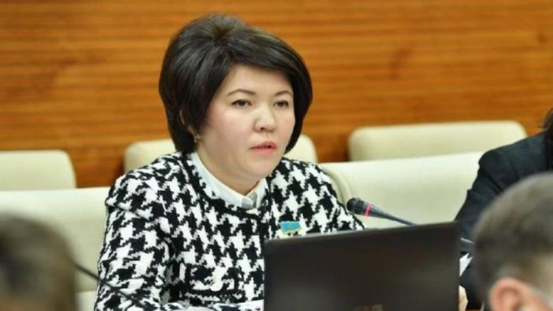 Ескі биліктегі адамдарға қазіргі өзгерістер ұнамауы мүмкін - Жұлдыз Сүлейменова