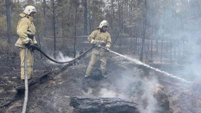 Абай облысында орман өрті оқшауланды - ТЖМ
