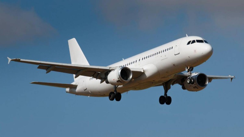 Қаза болған орманшылардың отбасы мүшелері ұшақпен тегін ұша алады