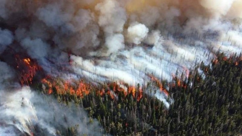 "Өрт сөндірушілерді өлімге өздері жіберді" - Смағұлов жағдайды жемқорлықпен байланыстырды