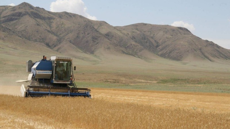 Жетісу облысында 327 мың га жайылымдық жер айналымға енді