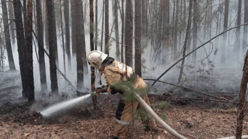 Абай облысындағы өрт: қаза тапқан орманшылардың отбасына қандай көмек көрсетіледі