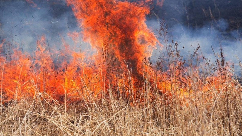 Қызылордада қураған шөп өртеніп, қаланың бірқатар бөлігін түтін басты