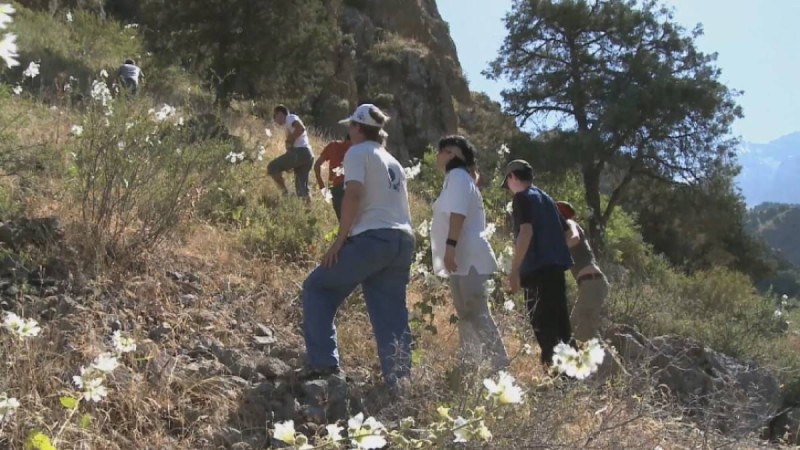 Түркістан облысында адасып кеткен үш турист туралы тың дерек шықты